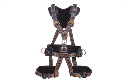 Harness