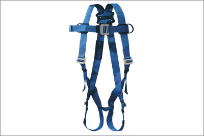 Harness